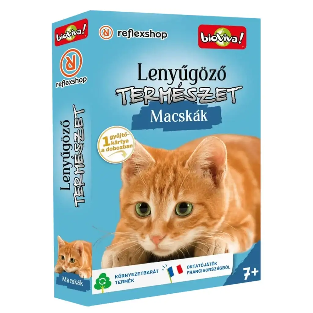 Osupljiva narava - Igra s kartami Mačke slika 1