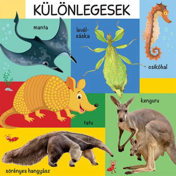 101 barvna slika o divjih živalih otroška knjiga slika 3