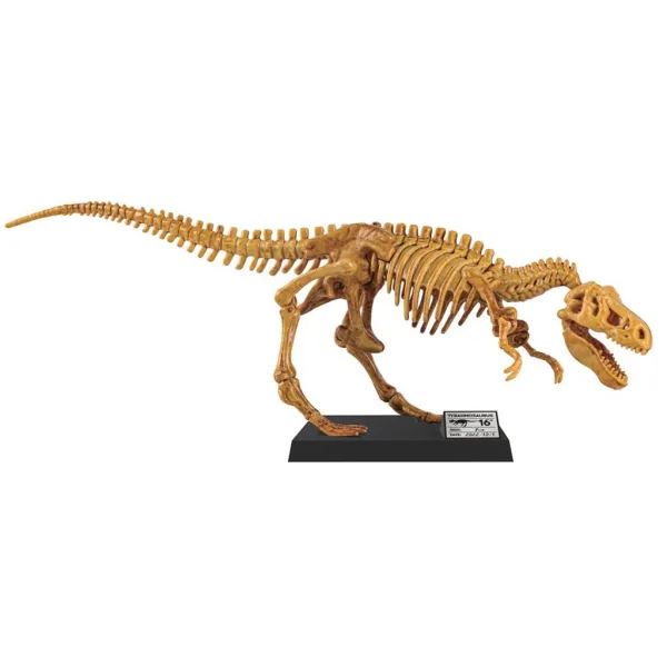 Luna: Veliki arheološki komplet T-Rexa 40 cm slika 2