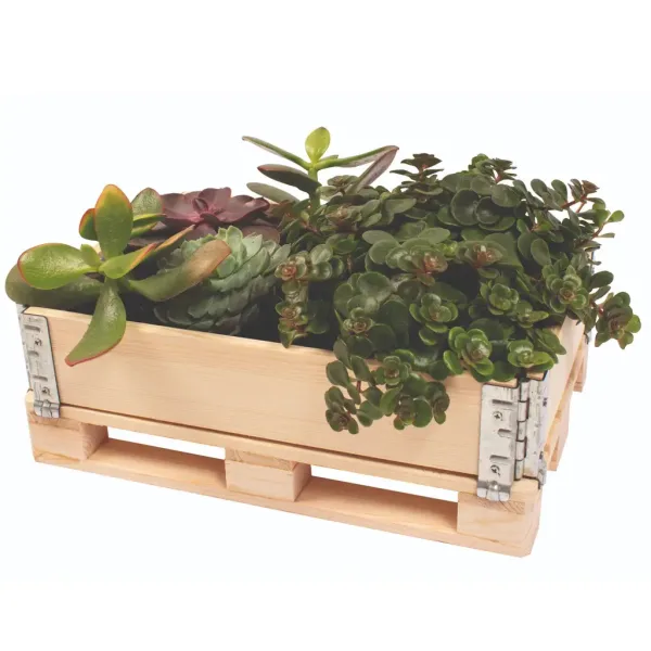 PlayBox: Lesena paleta 18x28x8,65 cm slika 3