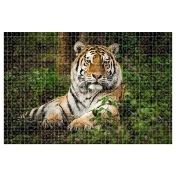 Animal Planet: Tiger 1000-delna sestavljanka slika 2
