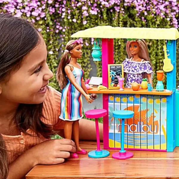 Barbie: Skupaj za Zemljo Bistro na plaži Igralni komplet - Mattel slika 3