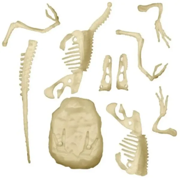 Science&Play: Archeofun Svetleči Velociraptor Arheološki set - Clementoni slika 3