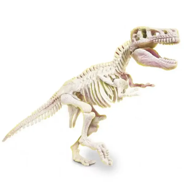 Science & Play: T-Rex fluorescenčni arheološki komplet - Clementoni slika 3