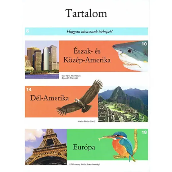 Slikovni atlas za otroke - Živali po svetu poučna knjiga slika 2