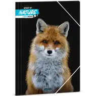 Ars Una: Bence Máté - Lisica A/4 mapa z elastiko