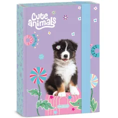 Ars Una: Cute animals - škatla za zvezke A/5 z motivom psov "Aussie"