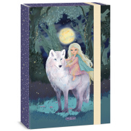 Ars Una: Northern Lights škatla za zvezke A4