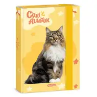 Ars Una: Prisrčna norveška gozdna mačka A/5 škatla za zvezke