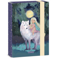 Ars Una: Severni sij škatla za zvezke A5