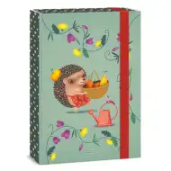 Ars Una: Škatla za zvezke A4 Apple Pie