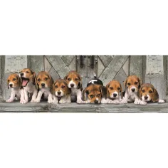 Beagle psički 1000-delna panorama sestavljanka 98x33cm - Clementoni slika 2