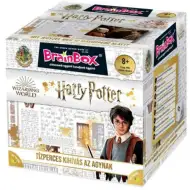 BrainBox - Harry Potter družabna igra