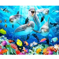 Diamantna sestavljanka: Komplet za diamantno slikanje Delfini 40x50 cm