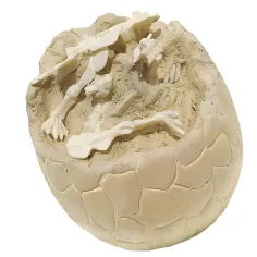 Dino Explorer: Arheološko presenečenje dinozavrskega jajca v različnih različicah slika 2