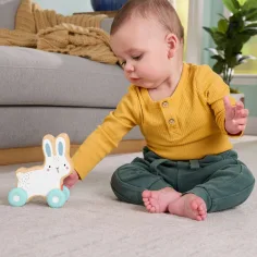 Fisher-Price: Leseni tili-toli zajček - Mattel slika 3