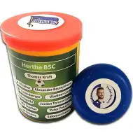 Hertha BSC namizna nogometna ekipa
