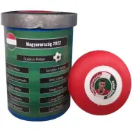 Madžarska reprezentanca v namiznem nogometu