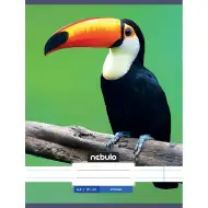 Nebulo: Črtasti zvezek s tukanom 81-32 A/4