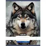 Nebulo: Črtasti zvezek z motivom volka 81-32 A/4