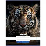 Nebulo: Črtasti zvezek z vzorcem tigra 81-32 A/4