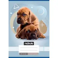 Nebulo: Dve zvezki s pasjimi motivi za 4. razred, črtasti, A/5, 21-32