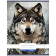 Nebulo: Farkas gladek zvezek A4 80-32