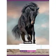 Nebulo: Konj v pesku črtasti zvezek 81-32 A/4