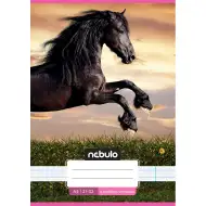 Nebulo: Konjiček v sončnem zahodu, črtasti zvezek za 4. razred, A/5, 21-32