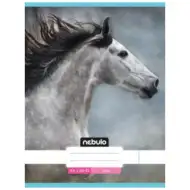 Nebulo: Siva konjska gladka zvezek A4 80-32