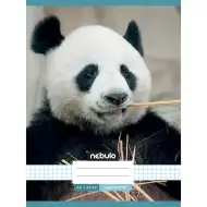 Nebulo: Šivana zvezek s kvadratki in vzorcem pande 87-32 A/4