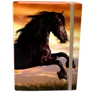 Nebulo: Škatla za zvezke A/5 velikosti z motivom črnega konja