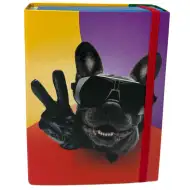 Nebulo: Škatla za zvezke v A/5 velikosti z kul motivom buldoga