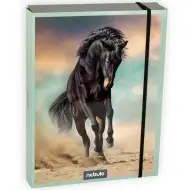 Nebulo: Škatla za zvezke velikosti A/5 z motivom konja