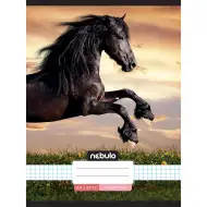 Nebulo: Spenjani karo - Zvezek z vzorcem konja v sončnem zahodu 87-32 A/4