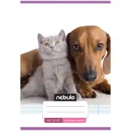 Nebulo: Spetji zvezek za 4. razred s črtami A/5, motiv jazbečar in siva muca, 21-32