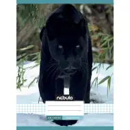 Nebulo: Spiralizirana karo zvezek s črnim panterjem, 87-32 A/4