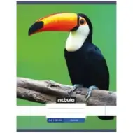 Nebulo: Tukan gladki zvezek A4 80-32