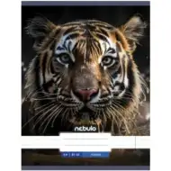 Nebulo: Zvezek Tigris A4 80-32