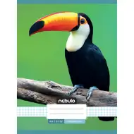 Nebulo: Zvezek s karo vzorcem in motivom tukana 87-32 A/4