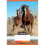 Nebulo: Zvezek s potiskom divjih konj, karo vzorec, 27-32 A/5
