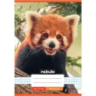 Nebulo: Zvezek s sponkami, karo, z motivom rdeče pande, 27-32, A/5