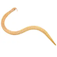 PlayBox: Lesene kače, paket 6 kosov