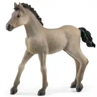 Schleich: Figura žrebička Criollo Definitivo (13949)