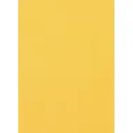 Spirit: Zlata penasta goba, velikost A4, 2 mm