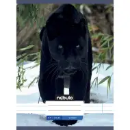 Zvezek s črtami in živalmi – Črna panterja – vzorčen zvezek 81-32 A/4