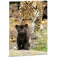 Ars Una: Serenity – Jaguar A/4 mapa z elastiko