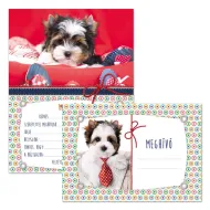 Ars Una: Vabilo na pasjo zabavo z ovojnico, 10 kosov