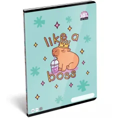 ICO: LizzySuli Lollipop Capybara z vzorcem na kocke zvezek A/4 27-32 slika 1