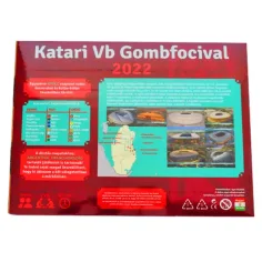 Katari VB Gombfutbal 2022 igrača set slika 2